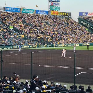 前席なし!通路横含む5/5(祝)阪神×ヤクルト甲子園年間予約アイビーペア