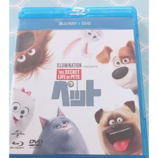 ユニバーサルエンターテインメント(UNIVERSAL ENTERTAINMENT)のペット BLU-LAY+DVD(アニメ)