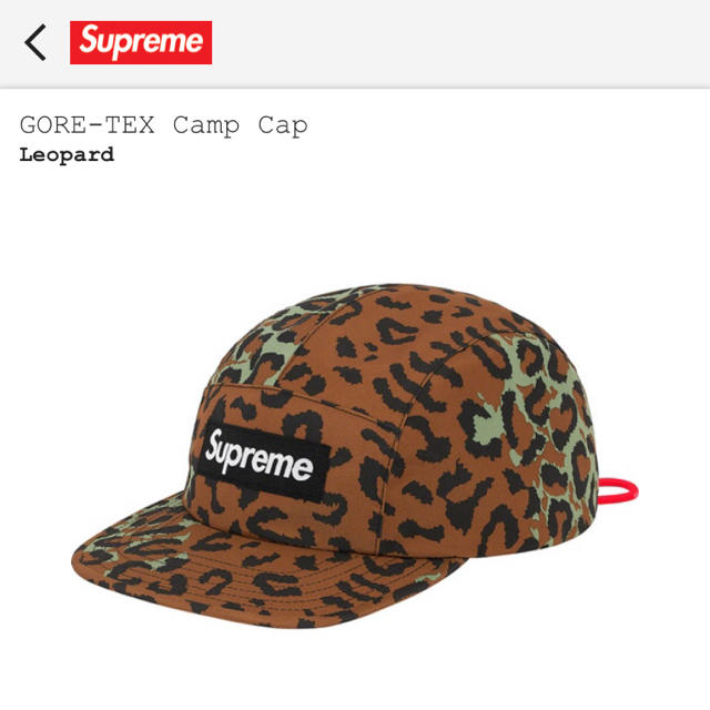 メンズGORE-TEX Camp Cap Leopard