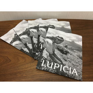 ルピシア(LUPICIA)のルピシア世界の紅茶ショップ袋紙袋新品セット(ショップ袋)