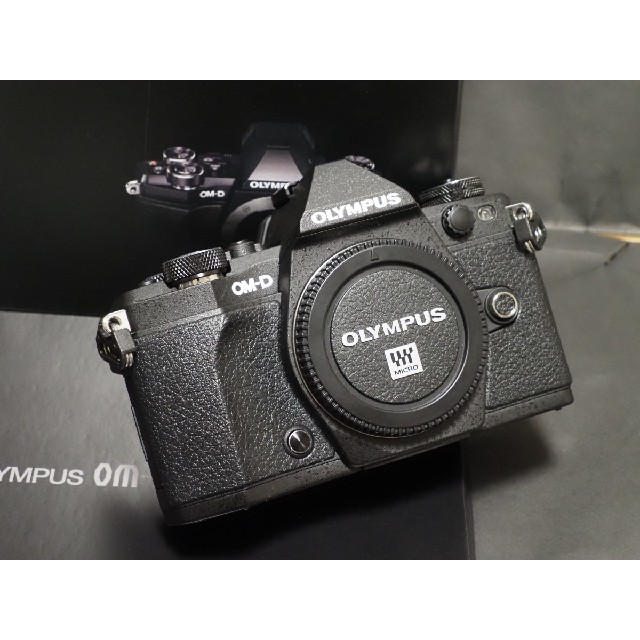 オリンパスOM-D E-M5MarkⅡボディ美品