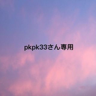 pkpk33さん専用(文学/小説)