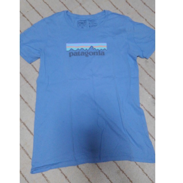 patagonia(パタゴニア)のパタゴニア Tシャツ メンズのトップス(Tシャツ/カットソー(半袖/袖なし))の商品写真