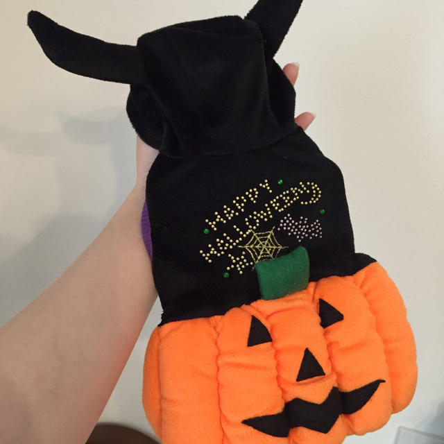 ペットウエア ハロウィン その他のペット用品(犬)の商品写真