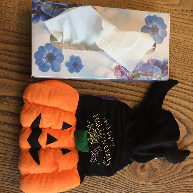 ペットウエア ハロウィン その他のペット用品(犬)の商品写真