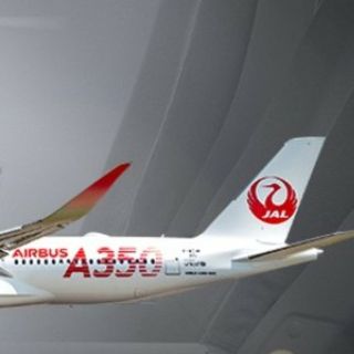 ジャル(ニホンコウクウ)(JAL(日本航空))のBlue Wing様 専用(その他)