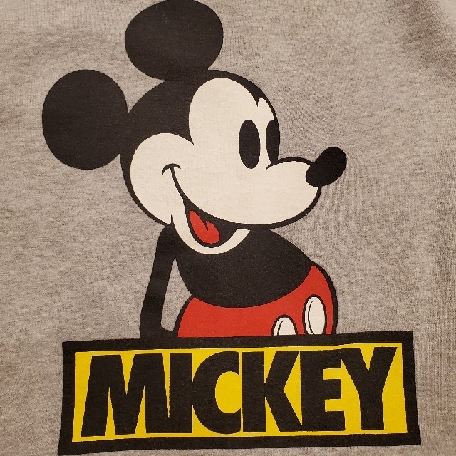 XLARGE(エクストララージ)のXLARGE × Disney zip up hooded sweatshirt メンズのトップス(パーカー)の商品写真