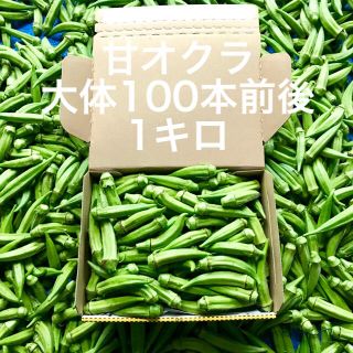 鹿児島産甘オクラ1キロ^_^(野菜)