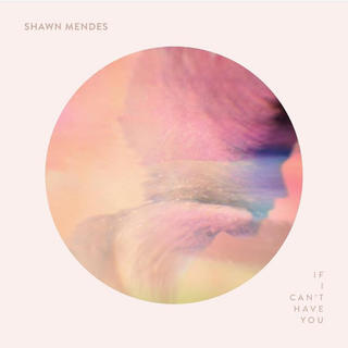 Shawn Mendes チケット