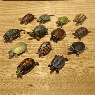 即決 ユージン YUJIN 原色爬虫類カメ目図鑑 フィギュア 初版25種 即決 ユージン YUJIN 原色爬虫類カメ目図鑑 フィギュア 初版25種