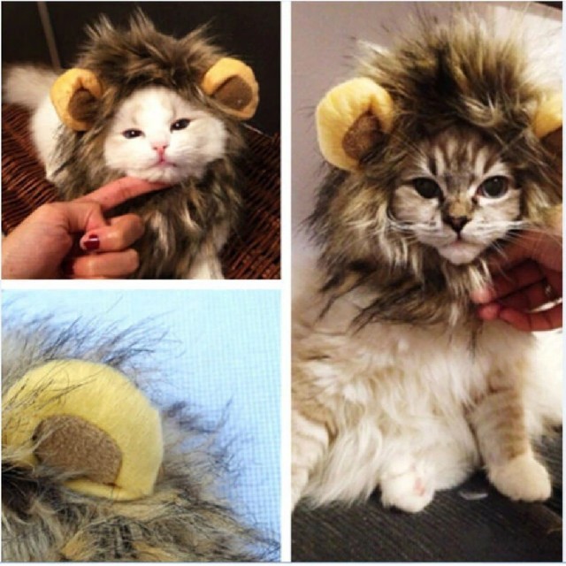 新品未使用 大人気 犬猫ちゃん用 ライオンの被り物 たてがみ かぶりもの帽子の通販 By Chi S Shop ラクマ