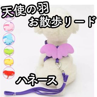 r18【新品】犬 猫 うさぎ ハーネス リード 散歩 天使 羽 翼 エンジェル(猫)