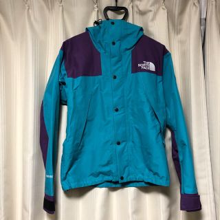 ザノースフェイス(THE NORTH FACE)のノースフェイス 40周年 南極 ゴアテックス(マウンテンパーカー)