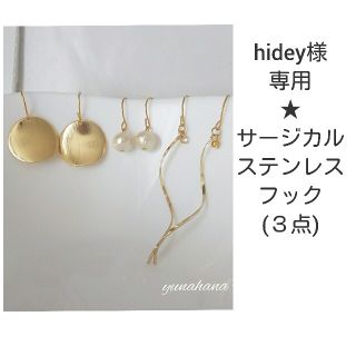 hidey様専用です(ピアス)