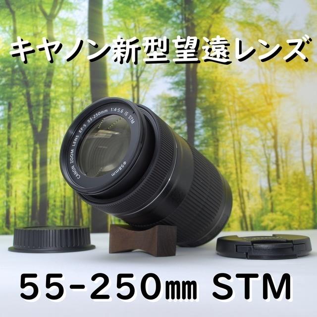 キヤノン新型望遠レンズ☆EF-S 55-250 STM☆