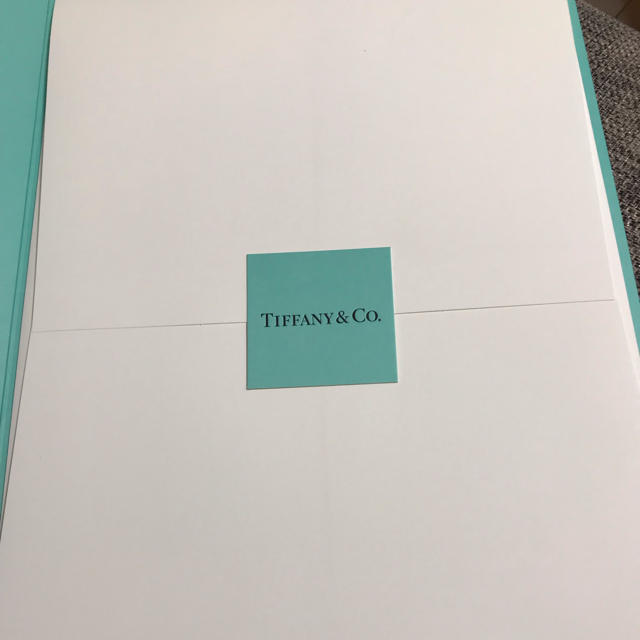 Tiffany & Co.(ティファニー)のティファニー 婚姻届 正規品 レディースのファッション小物(その他)の商品写真