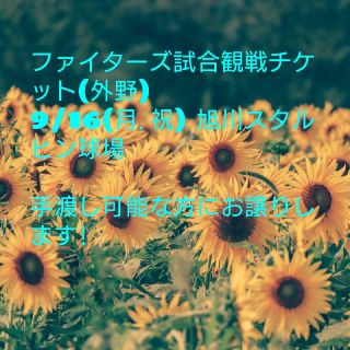 ファイターズ試合観戦チケット(旭川) 9/16(野球)