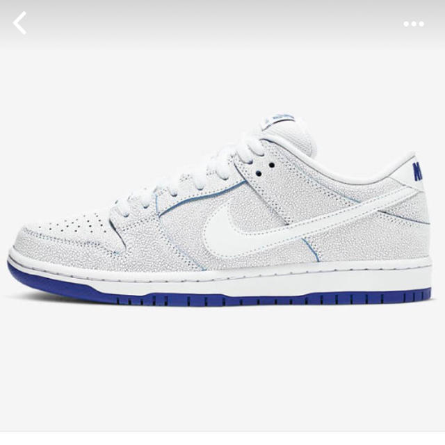 メンズNIKE SB DUNK US8.5 26.5cm