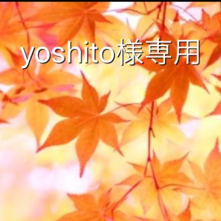 yoshito様専用(その他)