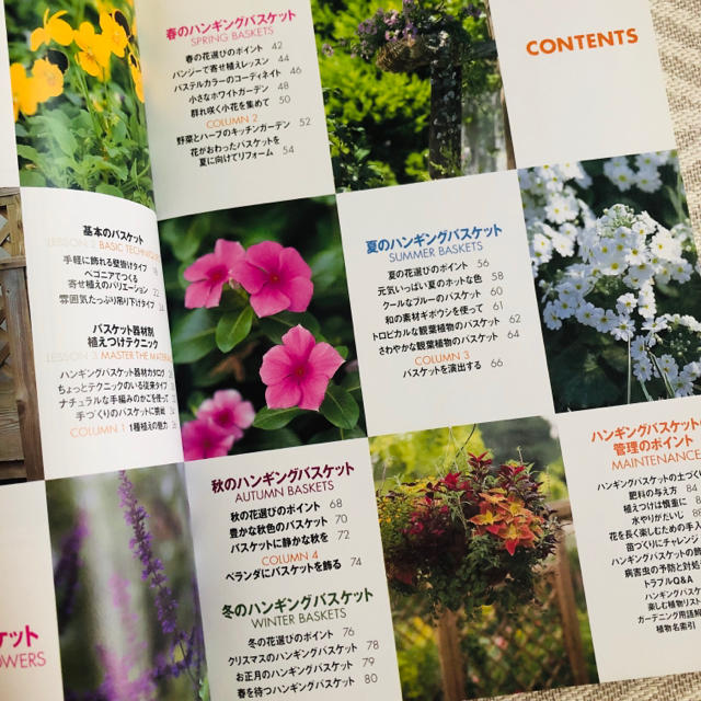すべての美しい花の画像 元のハンギング バスケット 花 選び すべての美しい花の画像 元のハンギング バスケット 花 選び