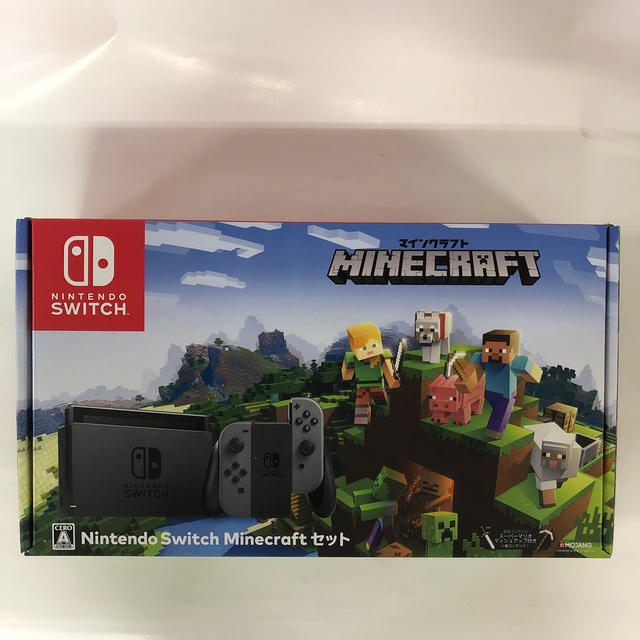 Nintendo Switch Minecraftセット