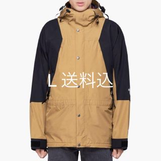ザノースフェイス(THE NORTH FACE)のThe North Face 1994 Mountain Light GTX L(マウンテンパーカー)