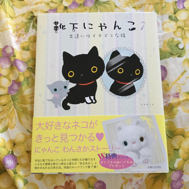 主婦と生活社(シュフトセイカツシャ)のもろこ様専用     靴下にゃんこ 二口目 エンタメ/ホビーの漫画(その他)の商品写真