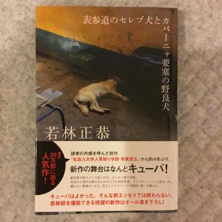 表参道のセレブ犬とサバーニャ要寒の野良犬 若林正恭(お笑い芸人)