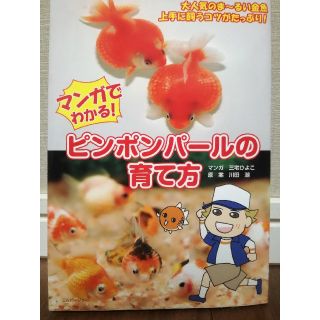 マンガでわかる！ピンポンパールの育て方(ビジネス/経済)