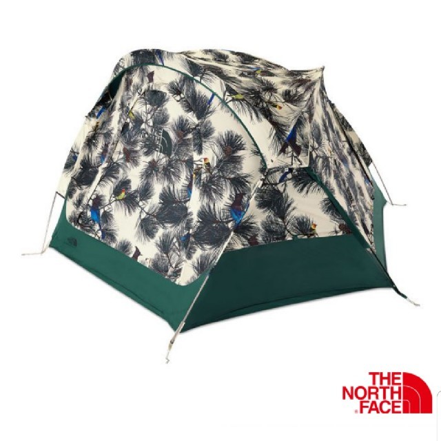 新品 未使用 THE NORTH FACE HOMESTEAD DOMEY 3