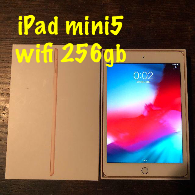 今年人気のブランド品や Apple - 256gb wifi mini5 iPad ⑤ タブレット