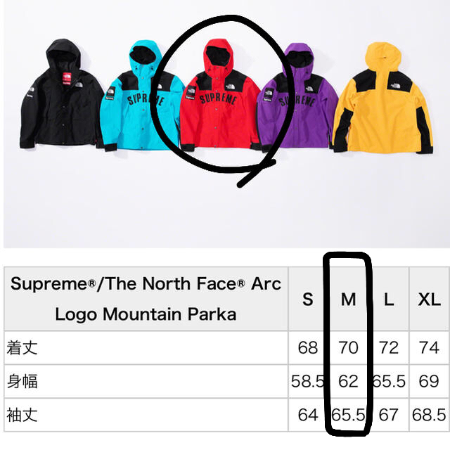 19ss Supreme®/The North Face® マウンテンパーカー