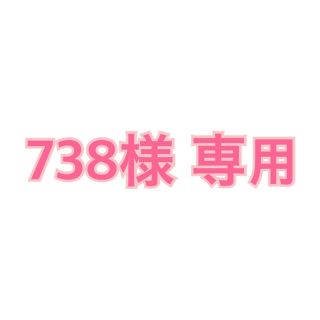 738様専用(ポップス/ロック(邦楽))