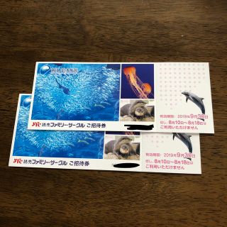 新江ノ島水族館 ご招待券 2枚(水族館)