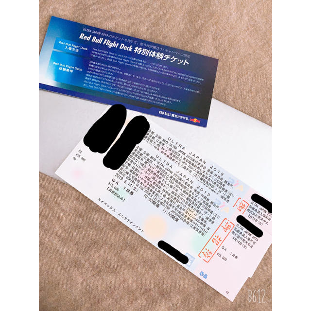 レッドブル「ULTRA JAPAN 2019」チケット チケットのイベント(その他)の商品写真