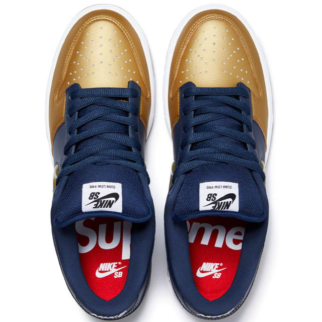 supreme Nike SB Dunk Low 9