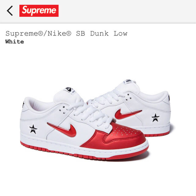 27.5cm supreme Nike SB Dunk Low