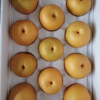 熊本産梨“豊水”大玉5kg箱11玉入個人選果秀品～甘さの強い梨(フルーツ)