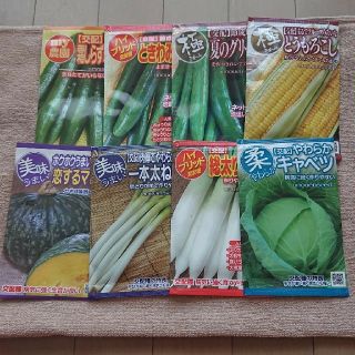 野菜の種・新品未開封品✨各種:１００円～(野菜)