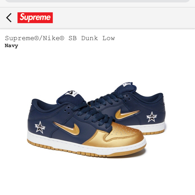 supreme dunk us8.5メンズ