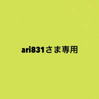 羊毛フェルト ari831さま専用(オーダーメイド)