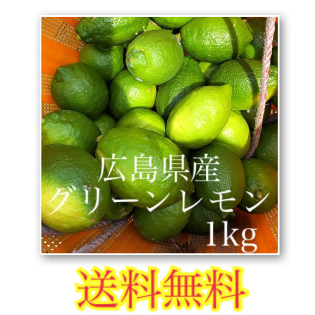 レモン 広島県産 化学農薬不使用 大崎上島産 瀬戸内 グリーンレモン 1kg 食品/飲料/酒の食品(フルーツ)の商品写真