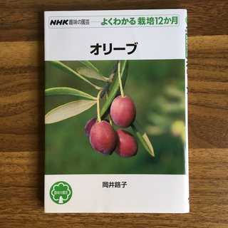 価格見直しました。オリーブ  NHK 趣味の園芸 苗 育て方(ビジネス/経済)