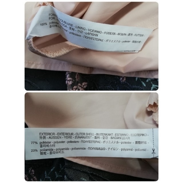 ZARA(ザラ)の【ZARA BASIC】花柄総刺繍　チュールスカート レディースのスカート(ひざ丈スカート)の商品写真