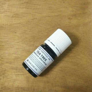 精油 5ml ティートリー  ティートゥリー ティーツリー 虫除け ペット(日用品/生活雑貨)