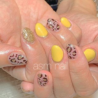 ネイルチップ ジェルネイル asmnail