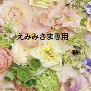 えみみさま専用ページ♡(つけ爪/ネイルチップ)