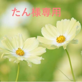 たん様専用(カラージェル)
