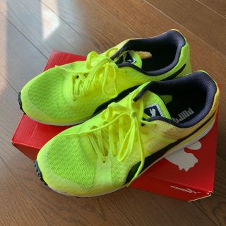 プーマ(PUMA)のPUMA レディース  シューズ(スニーカー)