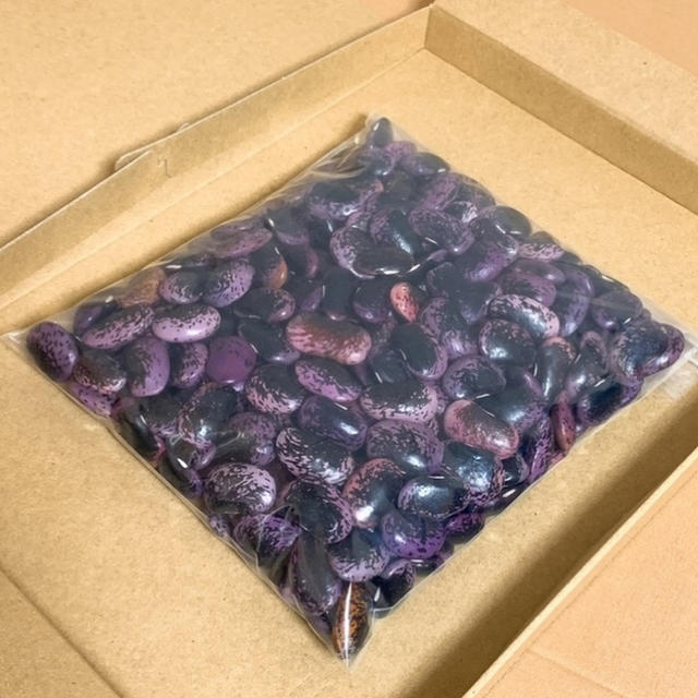 ☆懐かしい味☆ 乾燥紫花豆 約500g 青森県産 2018年産 食品/飲料/酒の食品(野菜)の商品写真